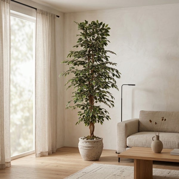 Kunstplant Ficus Benjamina Variegata | 205cm — nærbillede ægte træstamme