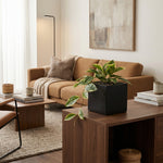 





Kunstpflanze Hoya Variegata | 23cm - Afbeelding 4
 thumbnail