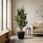 





Kunstpflanze Eucalyptus Groen | 120cm - Lifestyle foto kunstplant in interieur
 thumbnail