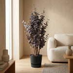 





Kunstpflanze Eucalyptus Paars | 120cm - Afbeelding 4
 thumbnail