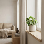 





Umelá Rastlina Ice Water | 8cm - Detail view kunstplant
 thumbnail