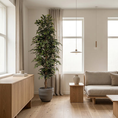 Pianta artificiale Ficus Benjamina | 205cm