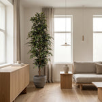 





Konstväxt Ficus Benjamina | 205cm - Detail view kunstplant
 thumbnail