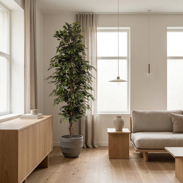 Kunstplant Ficus Benjamina | 205cm — primo piano tronco di legno vero