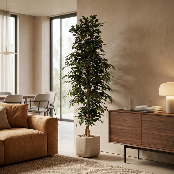 Kunstplant Ficus Benjamina | 205cm — primo piano tronco di legno vero