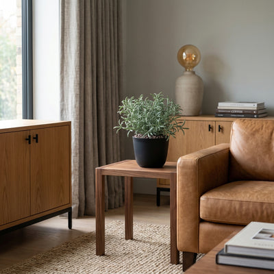 Kunstplant Helichrysum Italicum | 18cm