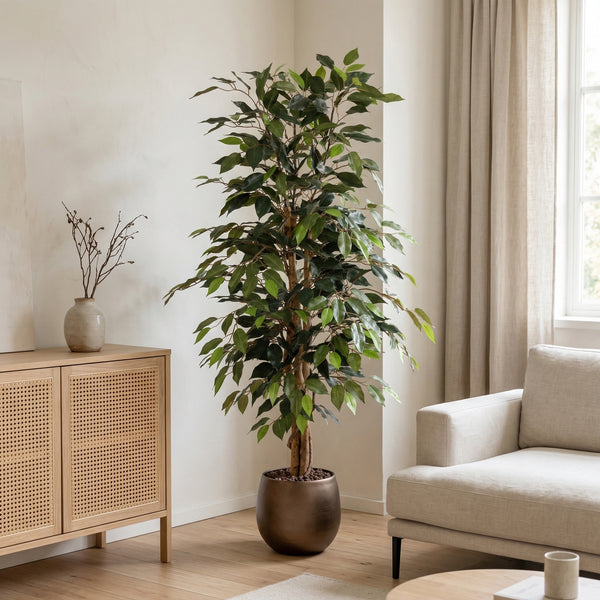 Kunstplant Ficus Benjamina | 130cm — primo piano tronco di legno vero