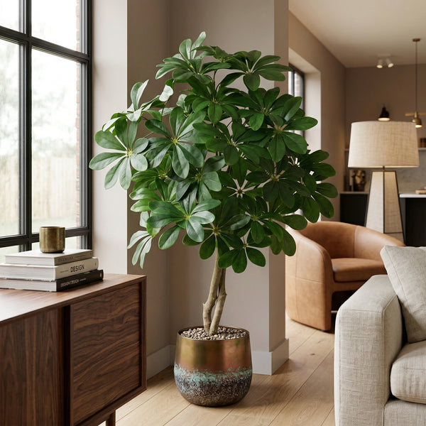 Kunstplant Schefflera Arboricola | 120cm — Nahaufnahme echter Holzstamm