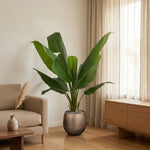 





Kunstpflanze Bananenpflanze | 120cm - Lifestyle foto kunstplant in interieur
 thumbnail