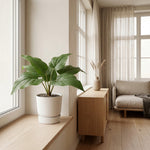 





Kunstpflanze Philodendron Imperial Green - Afbeelding 4
 thumbnail