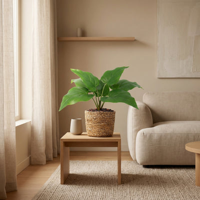 Kunstplant Philodendron Imperial Green | 25cm