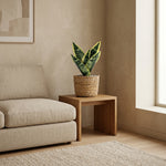 





Sztuczna Roślina Sansewieria - Afbeelding 4
 thumbnail