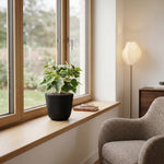 





Kunstpflanze Weißer Efeu - Afbeelding 4
 thumbnail