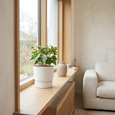 Kunstplant Witte Klimop | 19cm