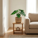 





Artificial Philodendron Xanadu Plant - Lifestyle foto kunstplant in interieur
 thumbnail