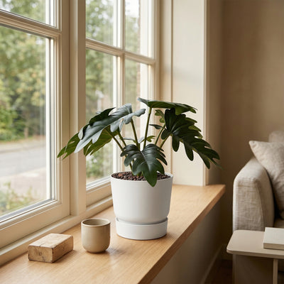 Kunstplant Philodendron Xanadu | 20cm