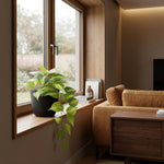 





Sztuczna roślina Epipremnum Variegata | 37cm - Afbeelding 4
 thumbnail