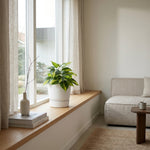 





Sztuczna roślina Epipremnum Variegata | 37cm - Lifestyle foto kunstplant in interieur
 thumbnail