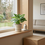 





Artificial Monstera Monkey Leaf Plant 22cm - Lifestyle foto kunstplant in interieur
 thumbnail