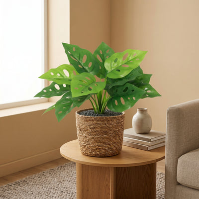 Kunstplant Monstera Monkey Leaf | 22cm