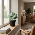 





Kunstpflanze Eucalyptus | 21cm - Detail view kunstplant
 thumbnail