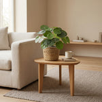 





Artificial Pilea Peperomioides Plant - Detail view kunstplant
 thumbnail