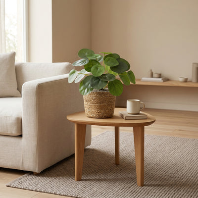 Kunstplant Pilea Peperomioides | 17cm