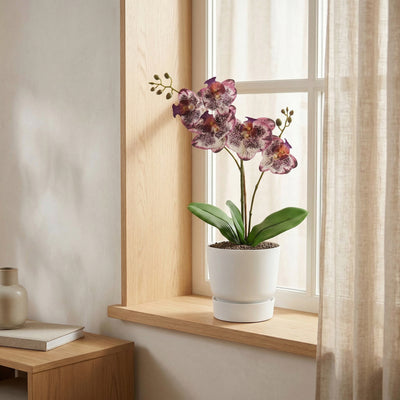 Kunstplant Orchidee Phalaenopsis Paars | 41cm