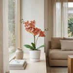 





Kunstplant Orchidee Phalaenopsis Oranje | 41cm - Detail view kunstplant
 thumbnail