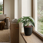 





Sztuczna Roślina Syngonium - Lifestyle foto kunstplant in interieur
 thumbnail
