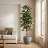 Kunstplant Ficus Benjamina | 160cm