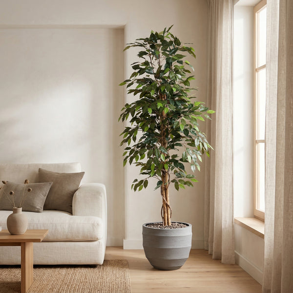 Kunstplant Ficus Benjamina | 160cm — primo piano tronco di legno vero