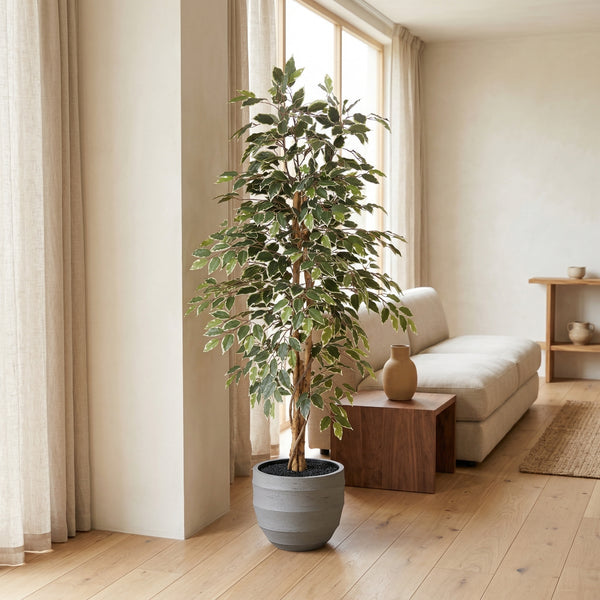 Kunstplant Ficus Benjamina Variegata | 160cm — primer plano tronco de madera real