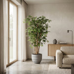 





Konstväxt Acer | 150cm - Afbeelding 4
 thumbnail