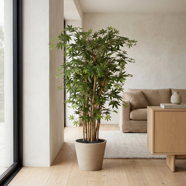 Kunstplant Acer | 150cm — nærbillede ægte træstamme