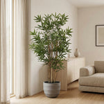 





Kunstpflanze Bambus | 144cm - Afbeelding 4
 thumbnail