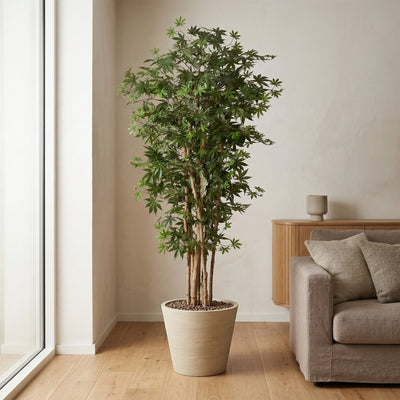 Kunstplant Japanse Esdoorn | 180cm