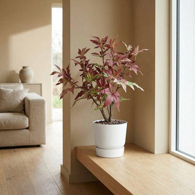 Kunstplant Esdoorn | 53cm