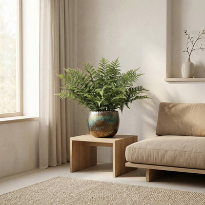 Kunstplant Varen Nephrolepis | 59cm