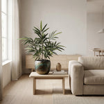 





Sztuczna roślina Bambus | 57cm - Lifestyle foto kunstplant in interieur
 thumbnail