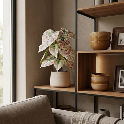 Kunstplant Caladium Groen Roze | 57cm