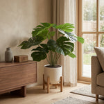 





Plante Artificielle Monstera Deliciosa avec Pot Décoratif - Detail view kunstplant
 thumbnail