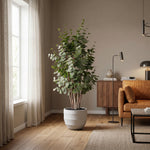 





Kunstpflanze Eucalyptus Groen | 120cm - Afbeelding 6
 thumbnail