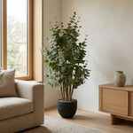 





Kunstpflanze Eucalyptus Groen | 120cm - Afbeelding 5
 thumbnail
