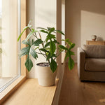 





Umelá Rastlina Philodendron Florida - Lifestyle foto kunstplant in interieur
 thumbnail
