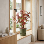 





Sztuczne drzewo Klon | 53cm - Afbeelding 4
 thumbnail