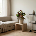 





Umelá rastlina Croton | 40cm - Lifestyle foto kunstplant in interieur
 thumbnail