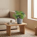 





Artificial Pilea Peperomioides Plant - Afbeelding 6
 thumbnail