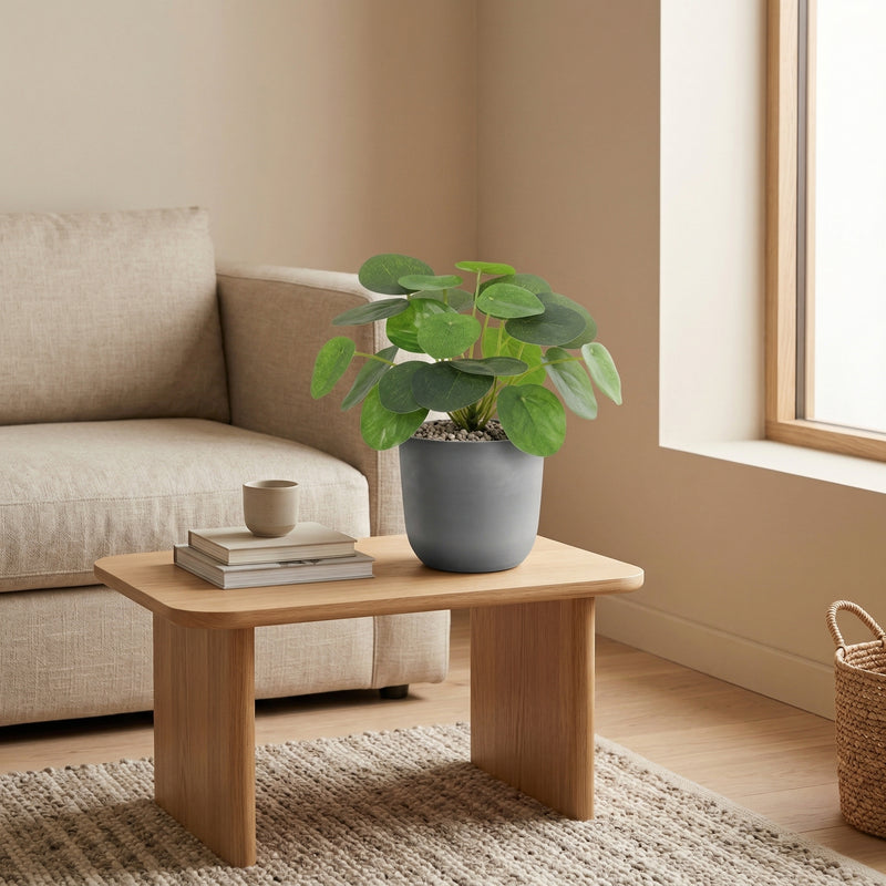 





Artificial Pilea Peperomioides Plant - Afbeelding 6
