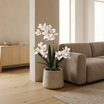 





Kunstplant Orchidee Phalaenopsis met Sierpot | 71cm - Detail view kunstplant
 thumbnail